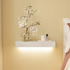 SoBuy FHK38-W zwevende wandplank met lade & LED-bewegingssensor, wandplank voor slaapkamer, hal & woonkamer, batterijgevoed, B60 × D20 × H8 cm, wit