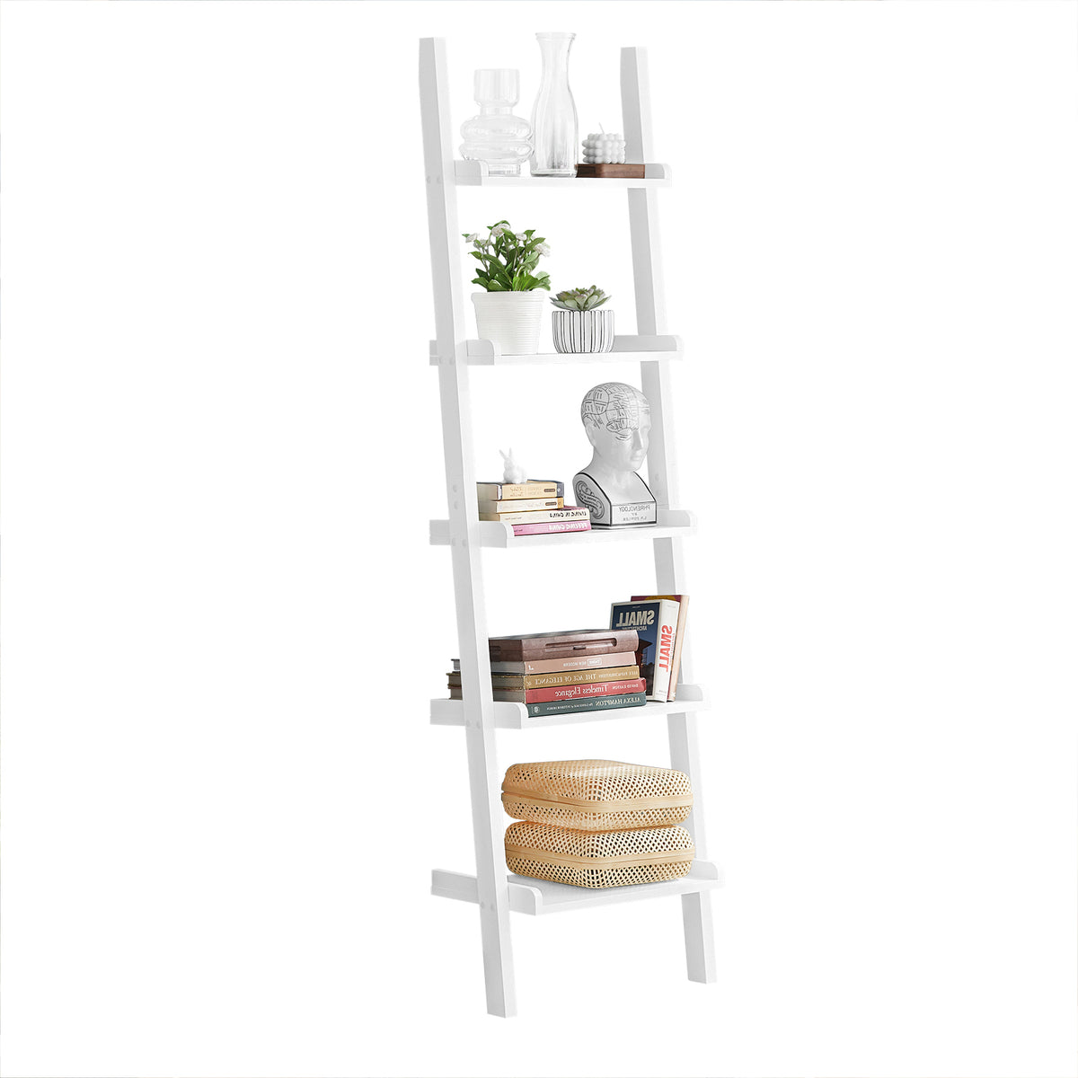 SoBuy FRG17-W Étagère murale style échelle 5 niveaux Bibliothèque SoBuy FRG17-W Étagère murale style échelle 5 niveaux Bibliothèque
