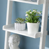 SoBuy FRG17-W Ladderrek - Opbergplank - Decoratie - Veelzijdig - Ladderplank