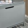 SoBuy FSR151-K-HG Schoenenbank, schoenenkast, halmeubel, kist met 1 klep en 1 kussen, grijs, 60 x 24 x 52 cm (l x d x h)