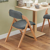Pre-order SoBuy FST92-SGx2 Opvouwbare Eetkamerstoelen – Set van 2 | Ergonomisch, Bekleed & Ruimtebesparend | Donkergrijs