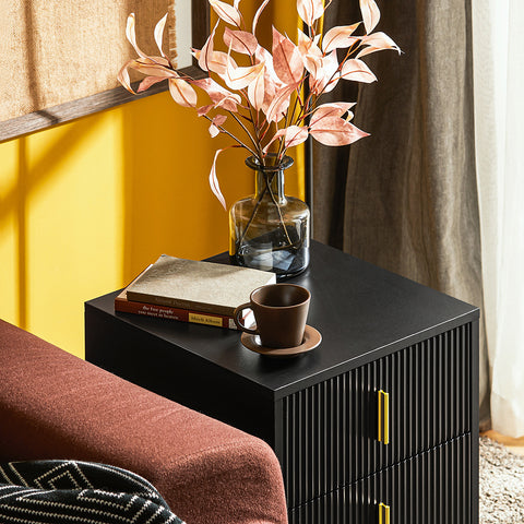 SoBuy FBT115-SCHx2 Set van 2 Nachtkastje met 2 Schuifladen - Bijzettafel- Salontafel - Slaapkamertafel - Bedtafel met 2 Lade