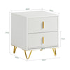 SoBuy FBT115-W Nachtkastje met 2 Schuifladen - Bijzettafel - Sofa Bijzettafel - Salontafel - Slaapkamertafel - Bedtafel met 2 Lade voor Woonkamer, Slaapkamer, Kantoor, Wit, 40x40x47cm