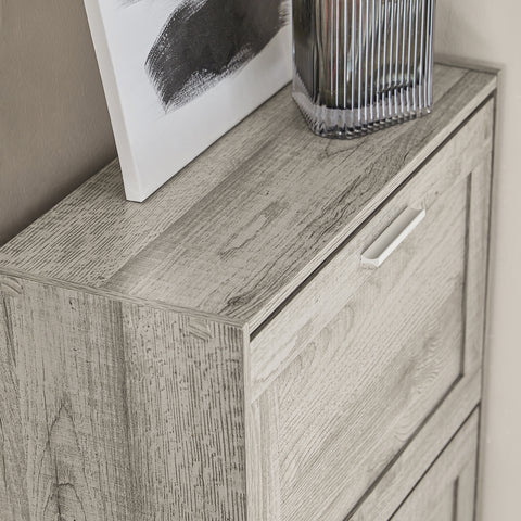 SoBuy FSR137-HG schoenenrek schoenenkast met 2 kleppen schoenenrek smal schoenencommode