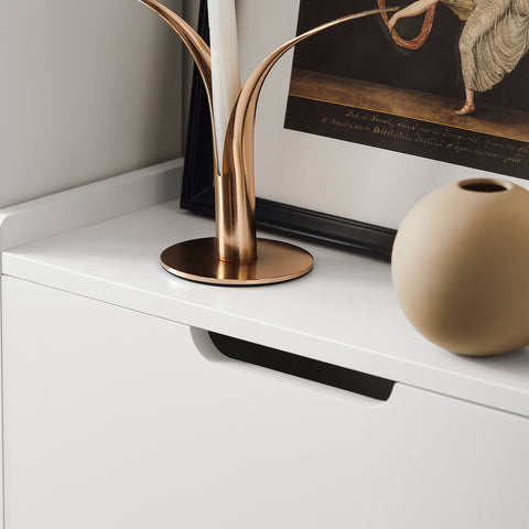 SoBuy FSR151-W Schoenenkast met 2 Kleppen, Schoenencommode, Schoenenrek, Schoenenkist, Gangkast, Opbergkast voor Schoenen