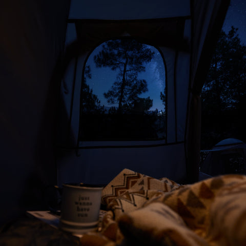 SoBuy OGS32-GR | 4-in-1 Tent met opvouwbaar  verhoogd bed, dak, slaapzak, luchtmatras  | Maximale belasting 114 kg | 1 Persoon | Groente